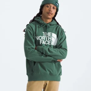 Polera para Hombre THE NORTH FACE M HALF DOME PULLOVER HOODIE Verde