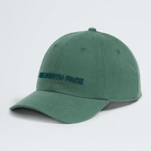 Gorra para Hombre THE NORTH FACE ROOMY NORM HAT Verde